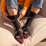 Load image into Gallery viewer, 3 Pairs Men's Fun Feet Cotton Socks - Team Dog