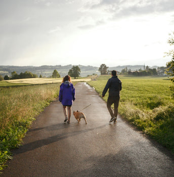 Socks That Support You Every Step of the Way this National Walking Month