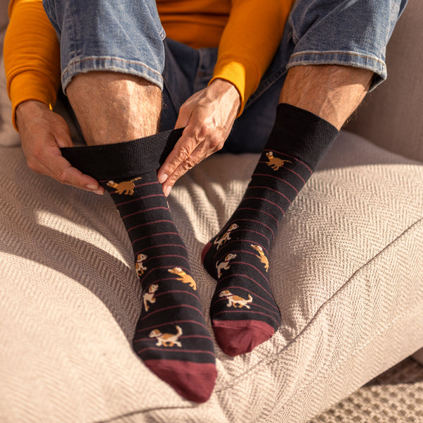 3 Pairs Men's Fun Feet Cotton Socks - Team Dog