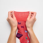 Load image into Gallery viewer, 3 Pairs Ladies Fun Feet Cotton Socks - I'm a Cat Person
